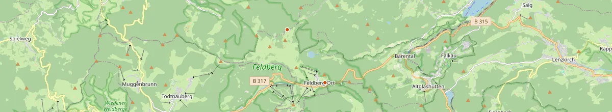 Karte mit den Selbstversorgerhäusern in Feldberg (Schwarzwald)