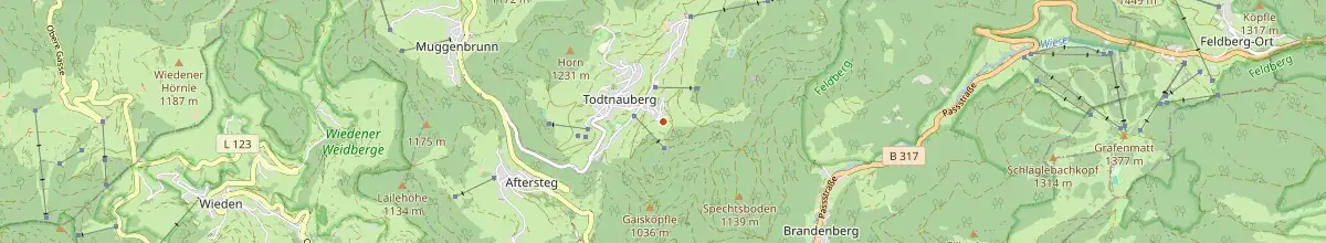 Karte mit den Selbstversorgerhäusern in Todtnauberg